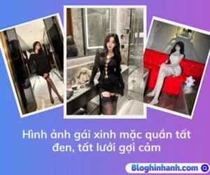 Ảnh gái xinh mặc quần tất đen, tất lưới gợi cảm