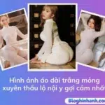 Hình ảnh áo dài mỏng xuyên thấu lộ nội y gợi cảm, đẹp nhất
