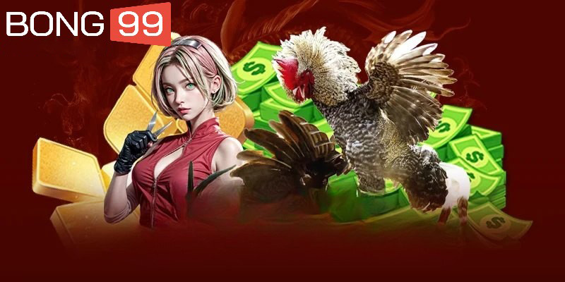 Những điểm mạnh nổi bật của sảnh đá gà