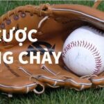 Giới thiệu về cá cược bóng chày tại S666