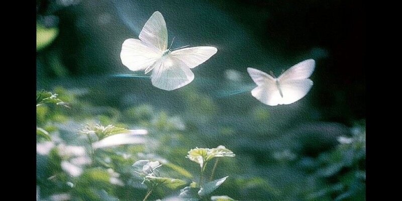 Mẹo chọn và sử dụng ảnh 3D hiệu quả