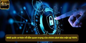 TDTC thiết kế theo hành vi người dùng, không theo cảm hứng