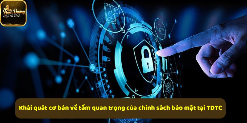 TDTC thiết kế theo hành vi người dùng, không theo cảm hứng