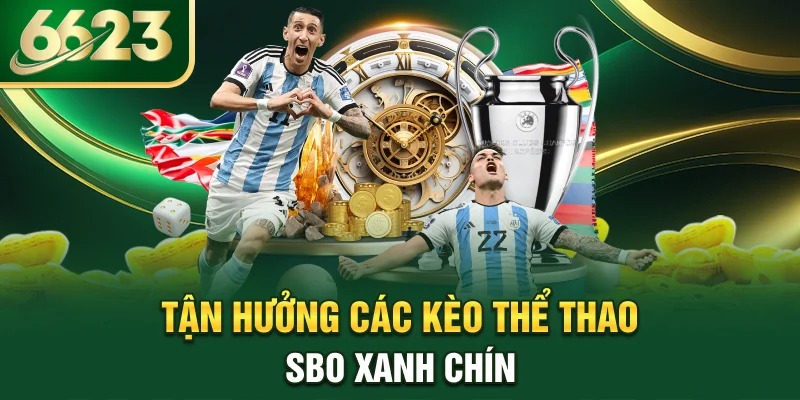 Các sảnh thể thao được yêu thích nhất tại Galaxy 6623