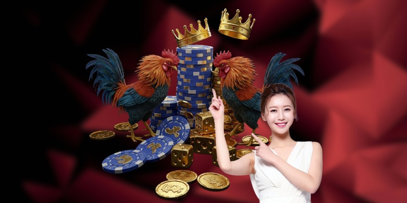 Những điểm chạm ưu việt dành cho hội viên