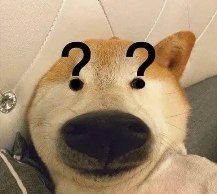 Chú chó thắc mắc biểu cảm hoài nghi meme chấm hỏi đáng yêu Chú chó thắc mắc biểu cảm hoài nghi meme chấm hỏi đáng yêu