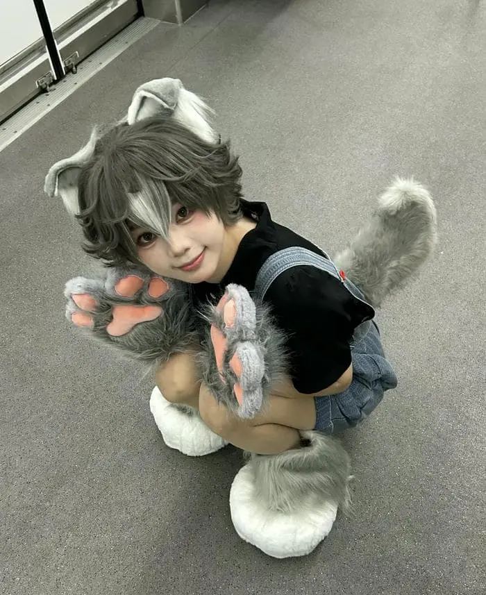 Cosplay dễ thương hình mèo xinh xắn tạo dáng đáng yêu Cosplay dễ thương hình mèo xinh xắn tạo dáng đáng yêu