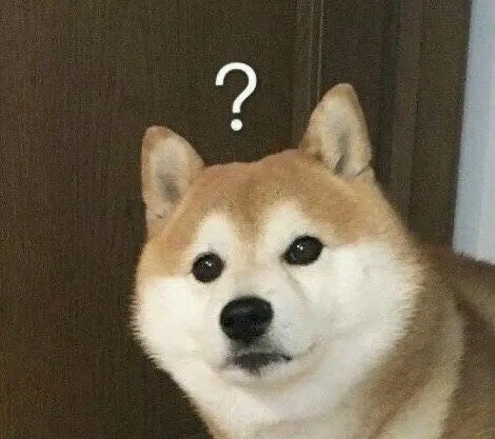 Meme chấm hỏi ngơ ngác biểu cảm khó hiểu của chú chó shiba inu Meme chấm hỏi ngơ ngác biểu cảm khó hiểu của chú chó shiba inu