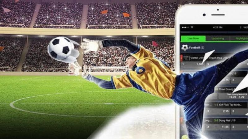 Dự đoán cho các vòng đấu tiếp theo